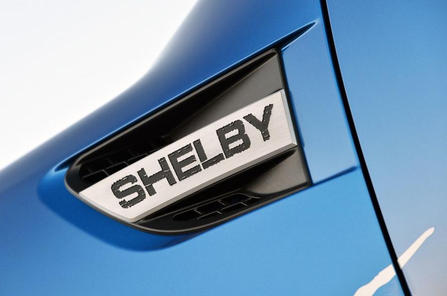  Shelby Raptor 2013 года  (фото 26 из 69)